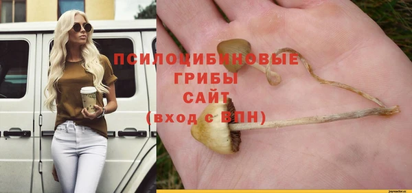 спайс Абинск