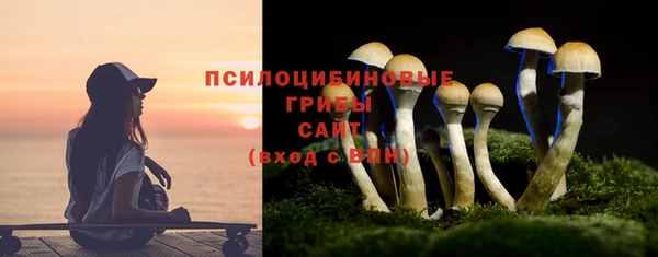 амф Абдулино