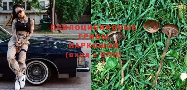 амф Абдулино