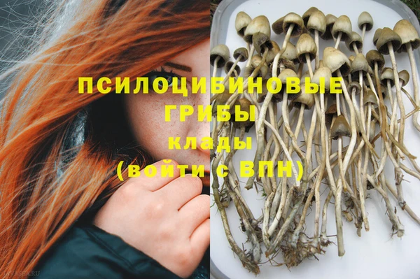 амф Абдулино