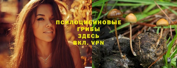 марки lsd Алзамай