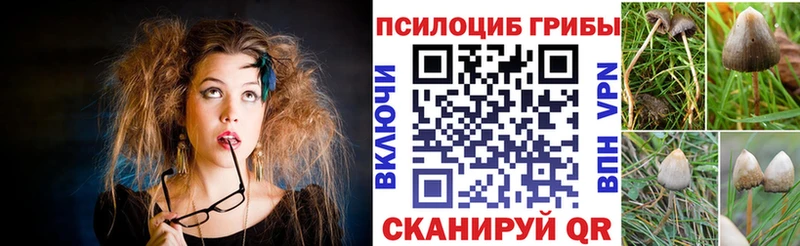 Галлюциногенные грибы MAGIC MUSHROOMS  Тотьма 